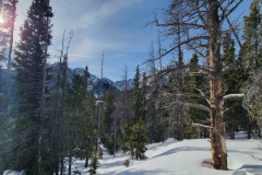 RMNP-Emerald-Lake-Winter-Mountains-behind-the-trees