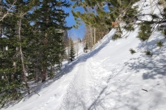 RMNP-Emerald-Lake-Winter-Snow-through-the-woods