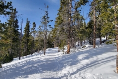 RMNP-Emerald-Lake-Winter-Start-through-the-woods