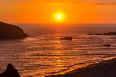 Harris-Beach-Medium-Sun