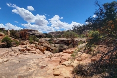 Natural-Bridges-Owachom-Bridge-terrain-past-the-bridge