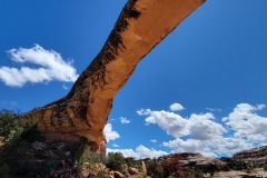 Natural-Bridges-Owachomo-Bridge-Bridge-and-brace