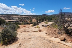 Natural-Bridges-Owachomo-Bridge-Topside-landscape