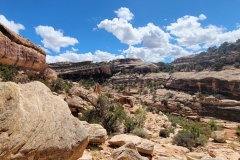 Natural-Bridges-Owachomo-Bridge-great-terrain