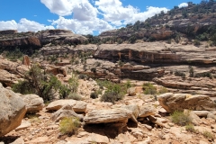 Natural-Bridges-Owachomo-Bridge-mid-terrain