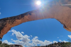 Natural-Bridges-Owachomo-Bridge-sun-spot-bridge