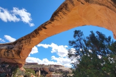 Natural-Bridges-Owachomo-Bridge-under-the-bridge