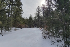 Battle-of-Glorieta-Pass-Dark-trail