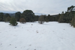 Battle-of-Glorieta-Pass-Open-Field