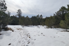 Battle-of-Glorieta-Pass-circle-field