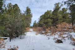 Battle-of-Glorieta-Pass-long-and-narrow