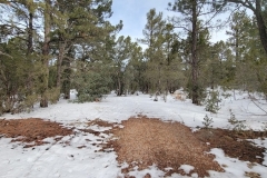 Battle-of-Glorieta-Pass-small-clearing