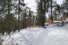 Battle-of-Glorieta-Pass-uphill-walk