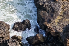Point-Dume-Close-on-seal