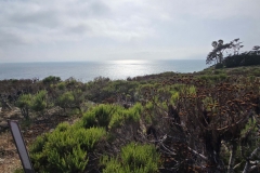 Point-Dume-Loop-over-the-green