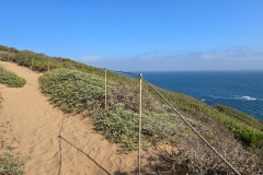 Point-Dume-sandy-trail