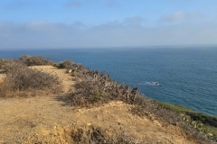 Point-Dume-top-looking-away-from-sun