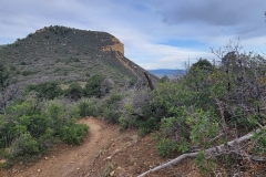 Point-Lookout-Mesa-Verde-Early-Trail-and-mesa-view
