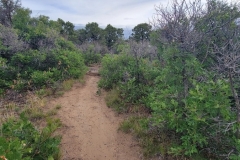 Point-Lookout-Mesa-Verde-Topside-trail