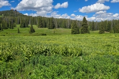 Rabbit-Ears-Pass-Long-Pass-with-field