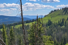 Rabbit-Ears-Pass-green-mesa