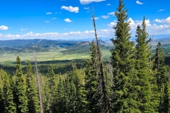 Rabbit-Ears-Pass-tree-tops-and-mountains-in-the-distant