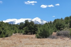 Racetrack-Loop-at-Salida-Mountain-Park-Peaks-over-trees