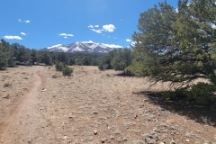 Racetrack-Loop-at-Salida-Mountain-Park-Trail-and-Peak