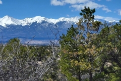 Racetrack-loop-at-Salida-Mountain-Park-Collegiate-Through-Trees