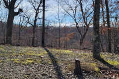 Radnor-Lake-Across-the-ridge