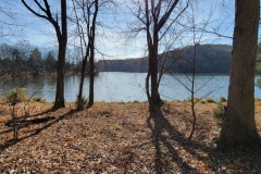 Radnor-Lake-Early-lake-views