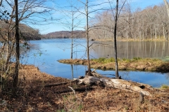 Radnor-Lake-Lake-from-the-start