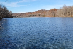 Radnor-Lake-Looking-across-the-lake