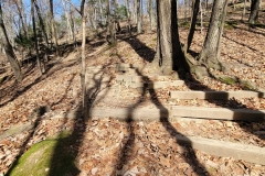 Radnor-Lake-Staircase