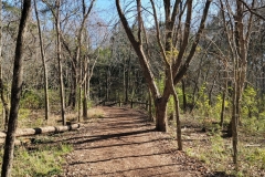Radnor-Lake-Starting-Trail