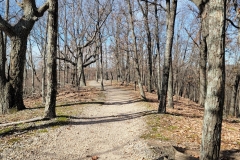 Radnor-Lake-Top-of-ridge-clean-path
