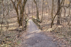 Radnor-Lake-dry-bridge