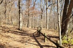 Radnor-Lake-early-trail-with-fence