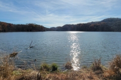 Radnor-Lake-from-the-early-shore