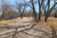 Riverside-Park-Outer-Loop-Fort-Morgan-Trees-and-Trails