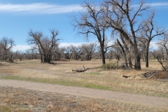 Riverside-Park-Outer-Loop-Fort-Morgan-Trees-and-field