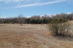 Riverside-Park-Outer-Loop-Fort-Morgan-open-field