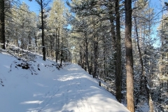 Mueller-Rock-Pond-Brook-Pond-Long-Narrow-Snowy-Trail