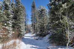 Mueller-Rock-Pond-Brook-Pond-Lower-Snowy-Trail
