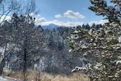 Mueller-Rock-Pond-Brook-Pond-Peaks-through-the-trees