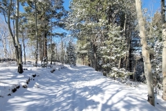 Mueller-Rock-Pond-Brook-Pond-Snow-Trail-with-Trees