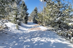 Mueller-Rock-Pond-Brook-Pond-Snowy-Trail