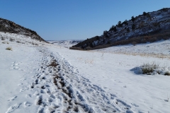 Rox-Valley-Loop-snowy-trail
