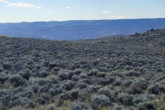 Sea-of-Sage-Cover