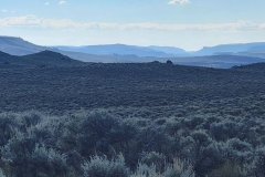 Sea-of-Sage-Dusk-long-views